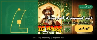 پاکستان کے بہترین گیمنگ تجربے